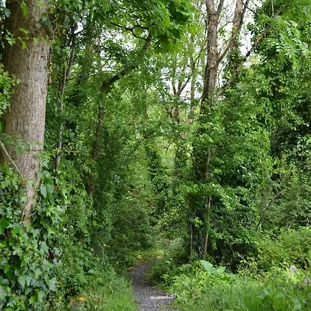 Riverbank